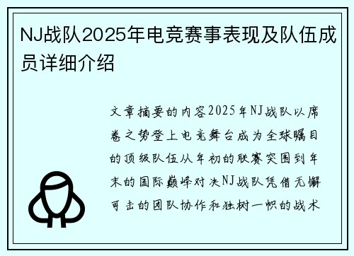 NJ战队2025年电竞赛事表现及队伍成员详细介绍